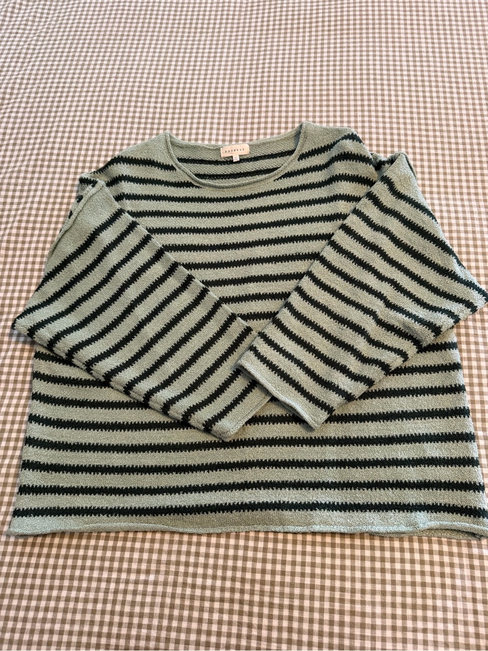 Promesa Striped Crewneck Sweater in Sage Green and Black